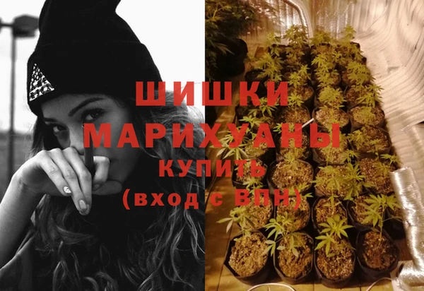 спайс Арсеньев