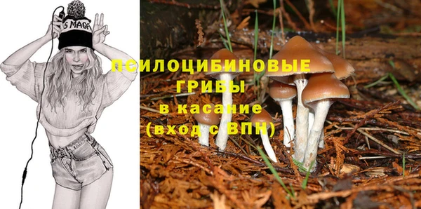 спайс Арсеньев