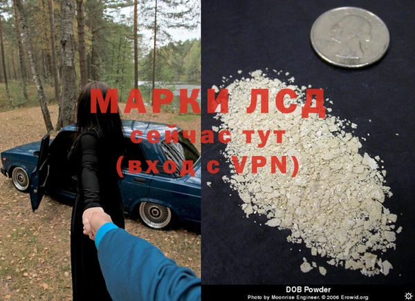 спайс Арсеньев