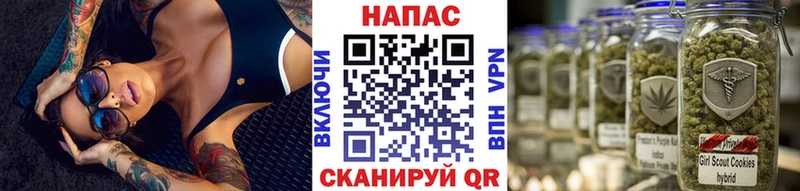 Канабис гибрид  Артёмовский 
